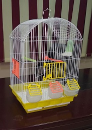 Baird cage 